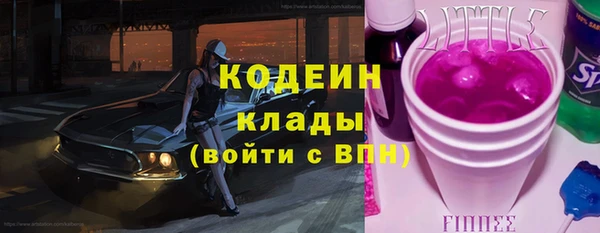 ECSTASY Богданович