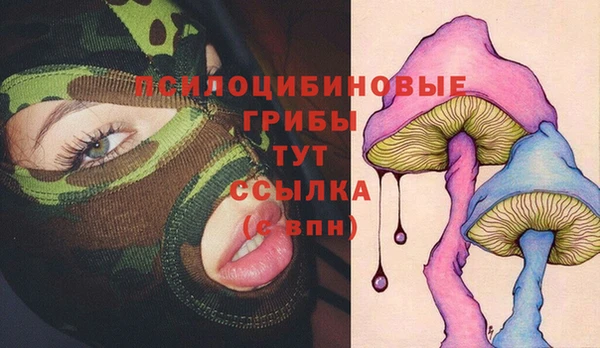 кристаллы Белокуриха