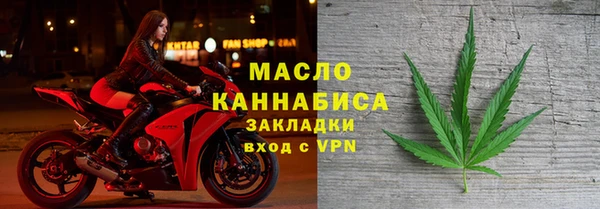ECSTASY Богданович