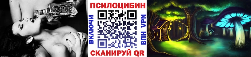 hydra   хочу наркоту  Сланцы  Псилоцибиновые грибы GOLDEN TEACHER 
